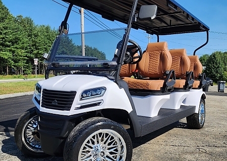 2024 SIERRA LSV WHITE LIMO - $13995